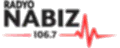Radyo Nabız